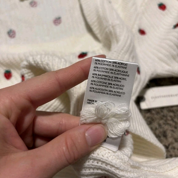 Maeve By Anthropologie Long Sleeve Sweater Embroidered Strawberries NWT- Medium - Picture 3 of 7